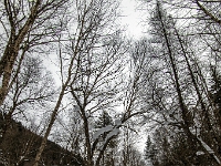 Parc national de la Jacques-Cartier